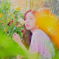 WJSN - 8th Mini Album “Neverland” 110