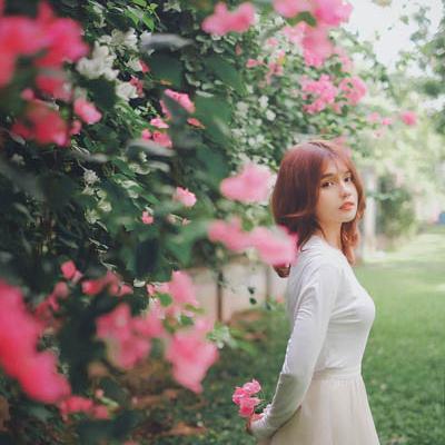 Gái xinh với Hoa Giấy 12