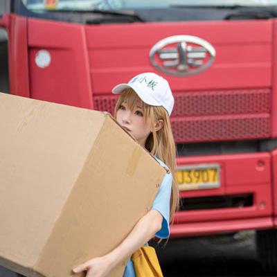 Huyết Tiểu Cầu - 血小板 27