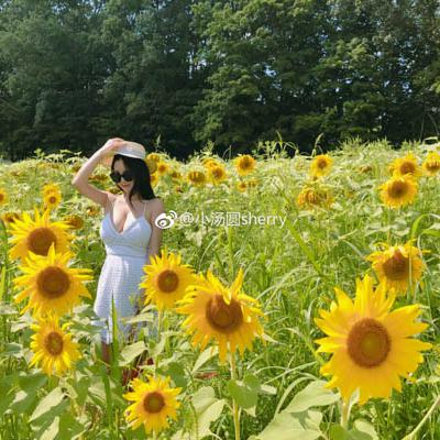 Tiểu Thang Viên｜Sherry Yang - 小汤圆sherry - Weibo - 316