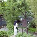 Tiểu Thang Viên｜Sherry Yang - 小汤圆sherry - Weibo - 381