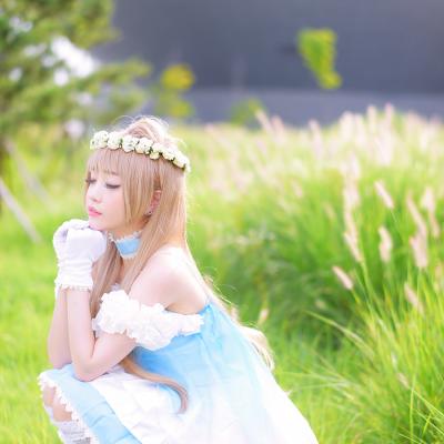 [Tomia] Kotori Minami (Door of Dreams Ver.) - Love Live! 26