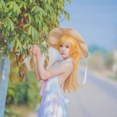 [Cherryneko] Bakemonogatari-Shinobu Oshino 041