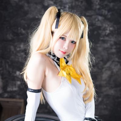 Garden rose (Dead or Alive) 146